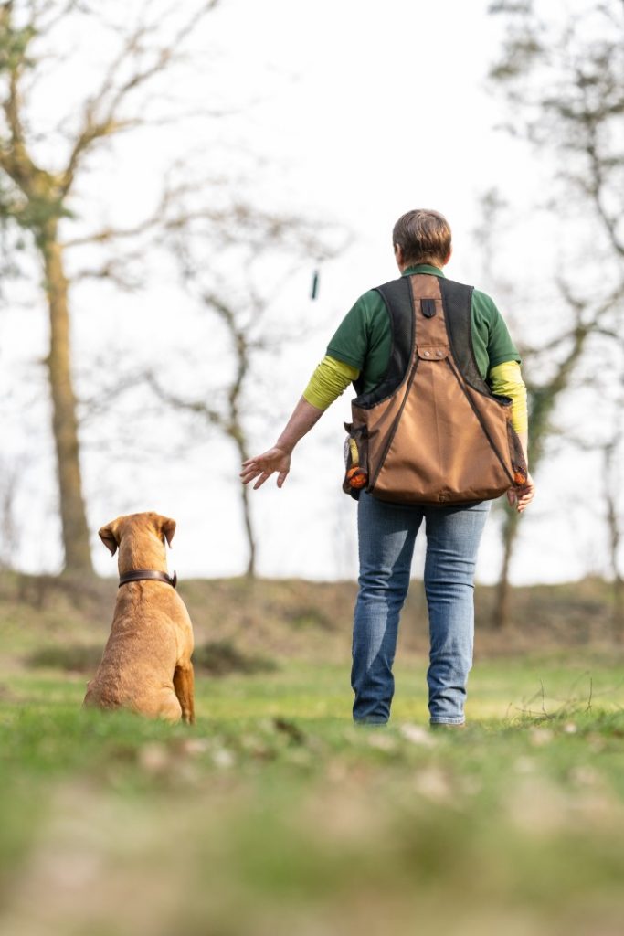 KöterCollege-Hundeschule_Hundetraining